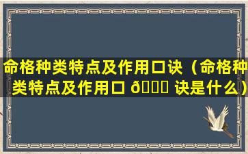 命格种类特点及作用口诀（命格种类特点及作用口 🐘 诀是什么）